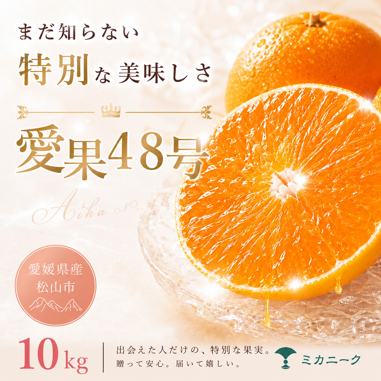 【知る人ぞ知る】 幻の新品種 【愛果48号】 10kg 愛媛県産 国産 【2027年2月下旬頃から順次発送】  | 日本 みかん 愛果48号 あいか  蜜柑 アイカ 柑橘 果物 愛媛のみかん くだもの 贈答 フルーツ ご家庭用 数量限定 愛媛県産 ミカン 愛媛県 松山市