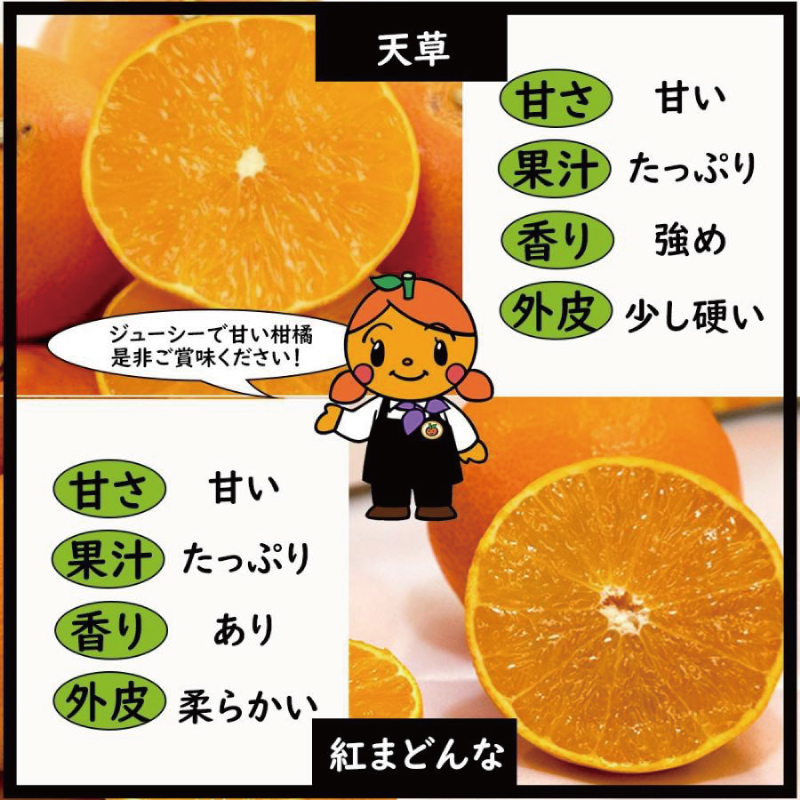 訳あり みかん 家庭用 あまくさ 約2㎏ ( 訳あり みかん 訳あり柑橘 訳あり商品 あまくさ みかん 柑橘 松山 愛媛県 )