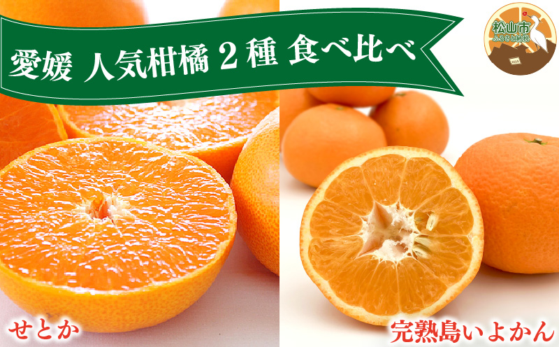 【先行予約】 せとか・完熟島いよかん 食べ比べセット / せとか 3kg 完熟島いよかん 5kg | 柑橘 みかん 蜜柑 mikan かんきつ  愛媛県 松山市 ココオ Koko'o