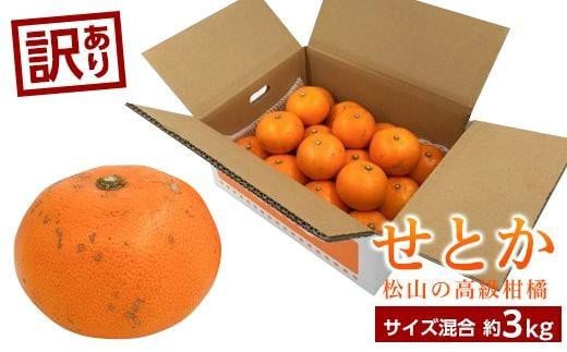 【2月中旬から発送】 ＜訳あり＞ せとか 約3kg 愛媛産 愛媛県産せとか 国産 愛媛みかん 愛媛蜜柑 愛媛せとか みかん せとか せとか ふるさと納税せとか くだもの お取り寄せせとか 産地直送 訳ありせとか 数量限定せとか 人気 おすすめ 愛媛県 松山市 せとか3kg 送料無料 家庭用せとか 訳ありせとか 愛媛県産せとか おすすめのせとか みかん 柑橘 訳あり品 家庭用 お取り寄せ せとか