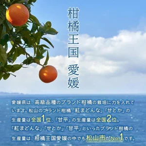 【2026年11月中旬頃から順次発送】愛果28号 (紅まどんな と同品種) 家庭用(優品) 約3kg あいか みかん ミカン オレンジ 贈答 ギフト プレゼント 高級 柑橘 松山 愛媛県