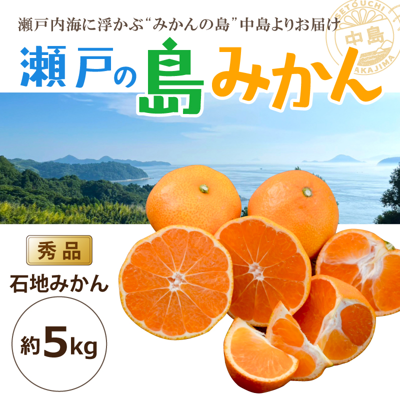 【先行予約】 瀬戸内海の島みかん (秀品)【石地みかん】約5kg | 柑橘 みかん 密柑 オレンジ フルーツ 果物 愛媛県 松山市 ココオ Koko'o