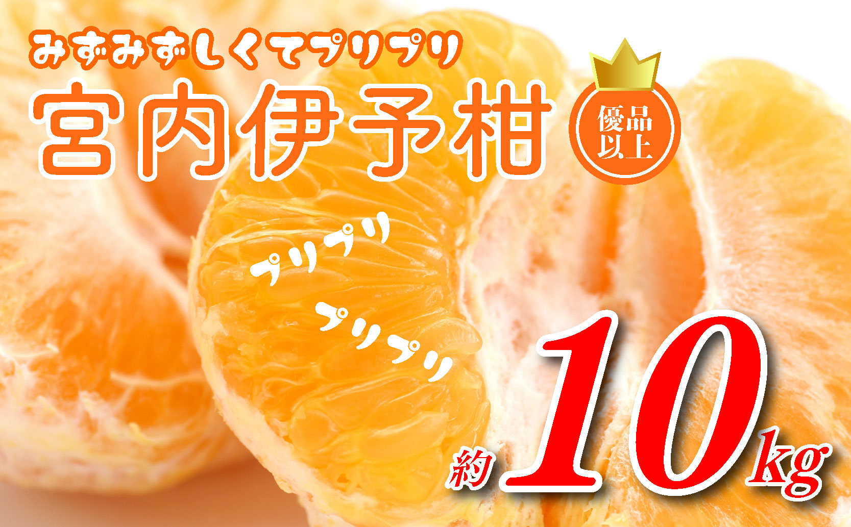 【2025年1月発送】宮内伊予柑 L〜2L 優品以上 10kg 興居島 宮内 いよかん 愛媛 柑橘 伊予柑 イヨカン みかん くだもの ミカン フルーツ 数量限定 産地直送 国産 柑橘 松山