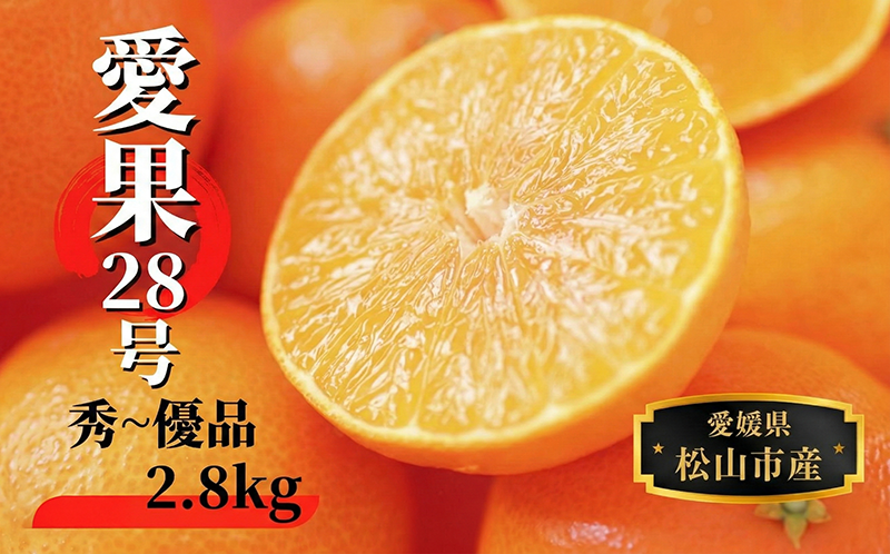  【2026年12月頃から順次発送】愛果28号 (紅まどんな と同品種) 約2.8kg 秀~優品 | 愛媛県産 みかん 蜜柑 オレンジ 柑橘 果物 フルーツ お取り寄せ おすすめ 愛媛県 松山市