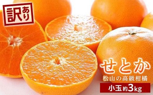 【2027年2月中旬頃から順次発送】せとか＜小玉＞ 約3kg | せとか 愛媛県 松山市 柑橘 小玉 こだま