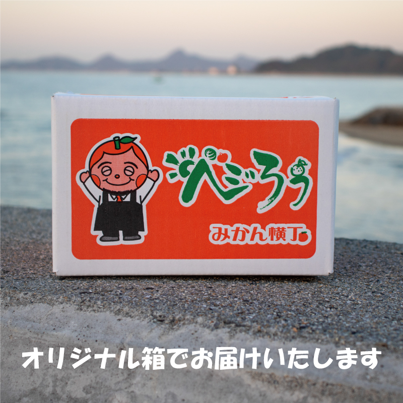 訳あり 河内晩柑 サイズ不揃い 約10kg