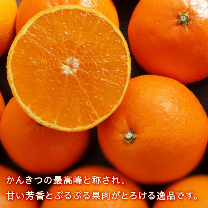 【2026年11月中旬頃から順次発送】愛果28号 (紅まどんな と同品種) 家庭用(優品) 約3kg あいか みかん ミカン オレンジ 贈答 ギフト プレゼント 高級 柑橘 松山 愛媛県