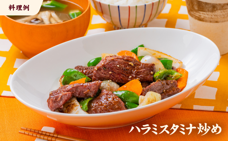 牛ハラミ ブロック 6kg タンブリング加工 牛ハラミ はらみ 牛肉 肉 個包装 冷凍 焼肉 焼き肉 BBQ バーベキュー ステーキ 丼物 簡単調理 炒め物 家庭用 業務用 人気 お取り寄せ 愛媛県 松山市