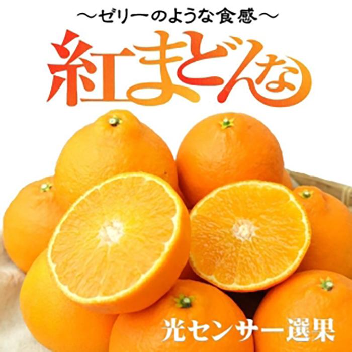 紅まどんな 約3kg（8~15玉）4L～Lサイズ 紅まどんな 愛媛 みかん 紅マドンナ 紅まどんな 蜜柑 柑橘 果物 松山市の紅まどんな 贈答 愛媛のみかん くだもの フルーツ 愛媛県 松山市 JAえひめ中央の紅まどんな 愛媛が誇る高級柑橘『紅まどんな』 愛媛の紅まどんな