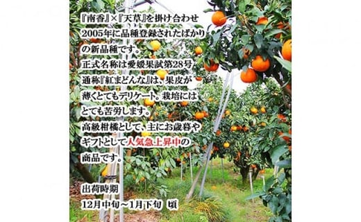 ãé æ¬¡çºéäžã ææ28å· èš³ããå 2kg ããã ææ ã¿ãã èæ ãããã å®¶åºçš ææ© ããã28å· ãã«ã³ mikan ãã«ãŒã æç© ããã〠ãã ãã® çã çã¿ é
žå³ ãžã¥ãŒã·ãŒ ææ± æè æ°ééå® æééå® æ¬ ãåãå¯ã èš³ã¢ãª ç£å°çŽé 蟲家çŽé åœç£ æåªç æŸå±±åž