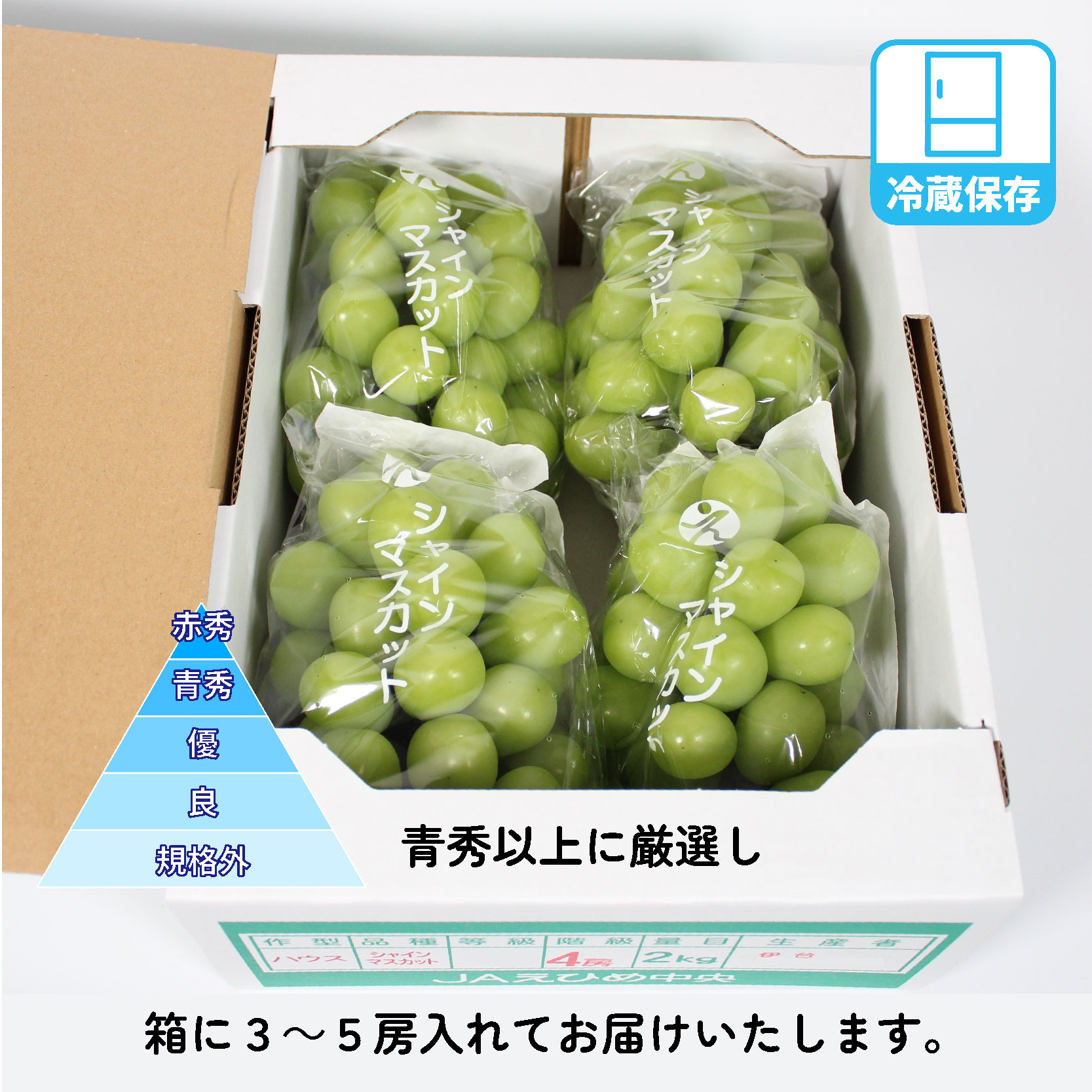 シャインマスカット 約2kg ( 3～5房 ) 青秀 以上 冷蔵 愛媛県産 松山 伊台