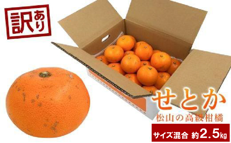 【2027年2月中旬頃から順次発送】＜訳あり＞ せとか 約2.5kg 愛媛産 愛媛県産せとか 国産 愛媛みかん 愛媛蜜柑 愛媛せとか みかん ふるさと納税せとか くだもの お取り寄せせとか 産地直送 訳ありせとか 数量限定せとか 人気 おすすめ 愛媛県 松山市 せとか3kg 送料無料 家庭用せとか 訳ありせとか 愛媛県産せとか おすすめのせとか みかん 柑橘 訳あり品 家庭用 お取り寄せ せとか