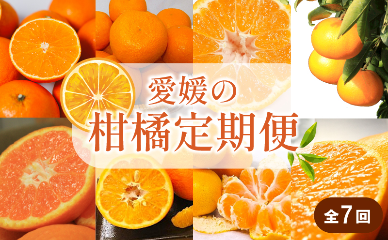 【先行予約】【全7回】 柑橘定期便｜ 興居島みかん あいか はれひめ いよかん温州 温州みかん 愛果 愛果28号 紅まどんな と同品種 伊予柑 せとか 神ポン カラマンダリン 不知火 柑橘 定期便 取り寄せ 甘いみかん ギフト 愛媛県産 ミカン みかん mikan 蜜柑 フルーツ 果物 くだもの お取り寄せ 産地直送 数量限定 人気 おすすめ 送料無料 贈答 ギフト 愛媛県 松山市