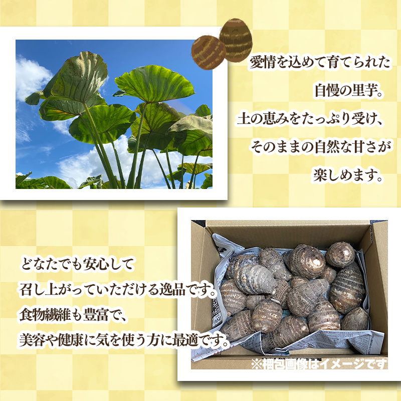 里芋(愛媛農試V2号) 4kg | 期間限定 さといも 里芋 サトイモ 国産 愛媛県産 ブランド えひめ 松山市 松山市ふるさと納税返礼品