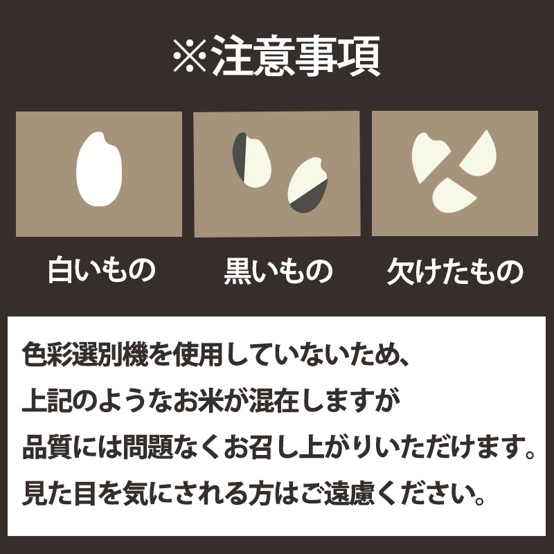 【2026年10月中旬頃から順次発送】松山ふるさと米 愛媛県産 新米 令和8年産 20kg 精米 ｜産地直送 国産 白米 ブランド米 米 お米 期間限定 数量限定 ご当地 愛媛県 松山市 にじのきらめき ひのひかり あきたこまち にこまる