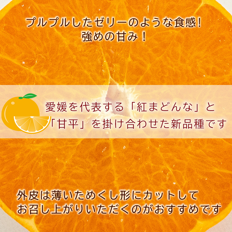 【2026年3月から発送予定】 愛果48号 小玉 2kg 愛媛県 中島産 |あいか 家庭用 先行予約 高級 蜜柑 ミカン みかん ジューシー 甘い  柑橘  人気 お取り寄せ  期間 数量 限定 愛媛 松山