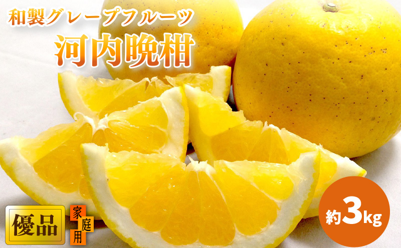 【2026年4月上旬頃から発送】 河内晩柑 優品 家庭用 約３kg｜和製グレープフルーツ 木成り熟成 爽やか みかん ミカン 蜜柑 甘い すっぱい 酸っぱい 酸味 数量限定 期間限定 愛媛県産 甘み 香り 柑橘 松山市 新鮮