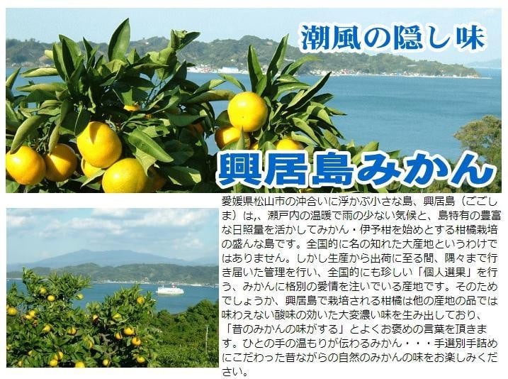 ã11æäžæ¬ããããé æ¬¡çºéãããå³¶ã¿ãã çŽ5kg | ã¿ãã èæ ææ© éæ