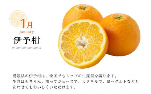 【定期便6回】えひめかんきつ定期便 みかん 定期便 紅まどんな 伊予柑 いよかん 甘平 定期便 かんぺい せとか 定期便 河内晩柑 国産 フルーツ 果物 定期便 愛媛 松山 定期便 オススメ 人気