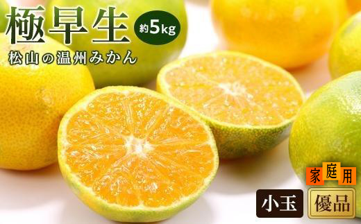 【2026年10月中旬頃から順次発送】 温州みかん「極早生」 <家庭用(優品)・小玉> 約5kg （ 愛媛産 愛媛県産 国産 愛媛みかん 愛媛蜜柑 愛媛ミカン みかん ミカン mikan 蜜柑 柑橘 フルーツ 果物 くだもの お取り寄せ 産地直送 数量限定 人気 おすすめ 愛媛県 松山市 送料無料 ）
