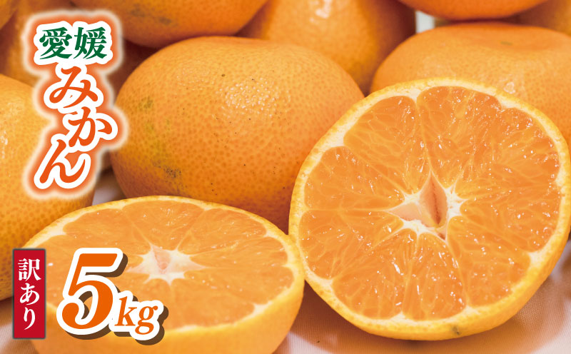 【順次発送中】 訳あり 愛媛みかん 約5kg | えひめみかん 愛媛のみかん 温州みかん みかん 温州ミカン 柑橘 果物 蜜柑 えひめのみかん くだもの フルーツ みかん ミカン mikan mican 不揃い 傷 ワケアリ 訳アリ 愛媛県 松山市