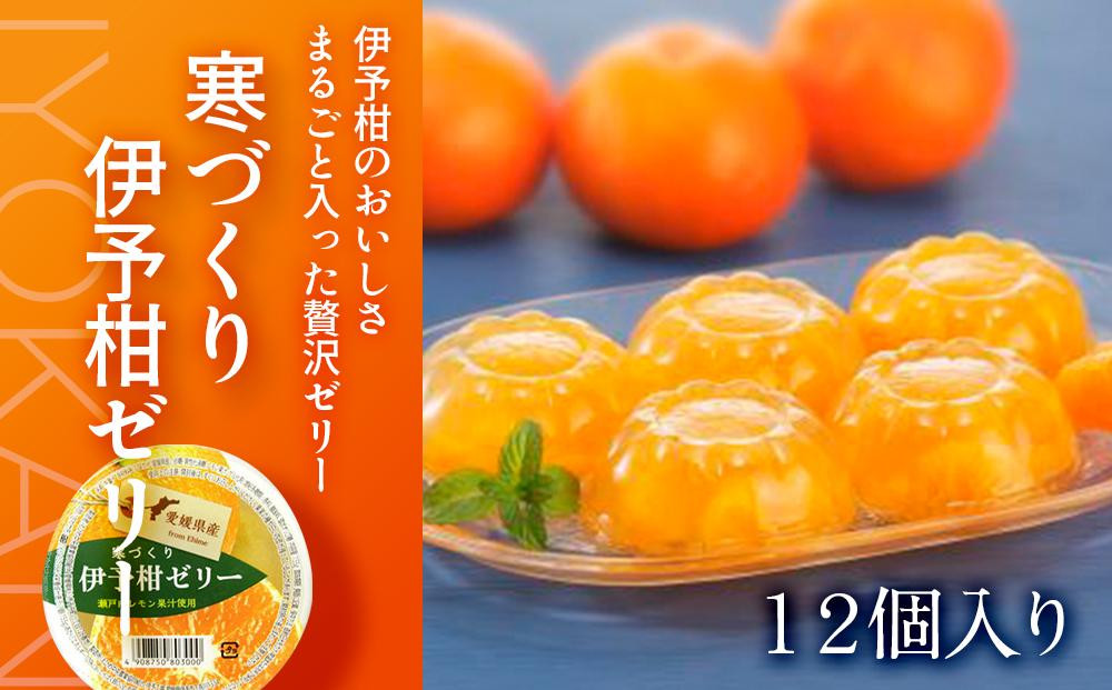 伊予柑 ゼリー 12個 セット | ゼリー ぜりー 柑橘ゼリー みかんゼリー 果物 スイーツ いよかん 伊予柑 愛媛県 松山市