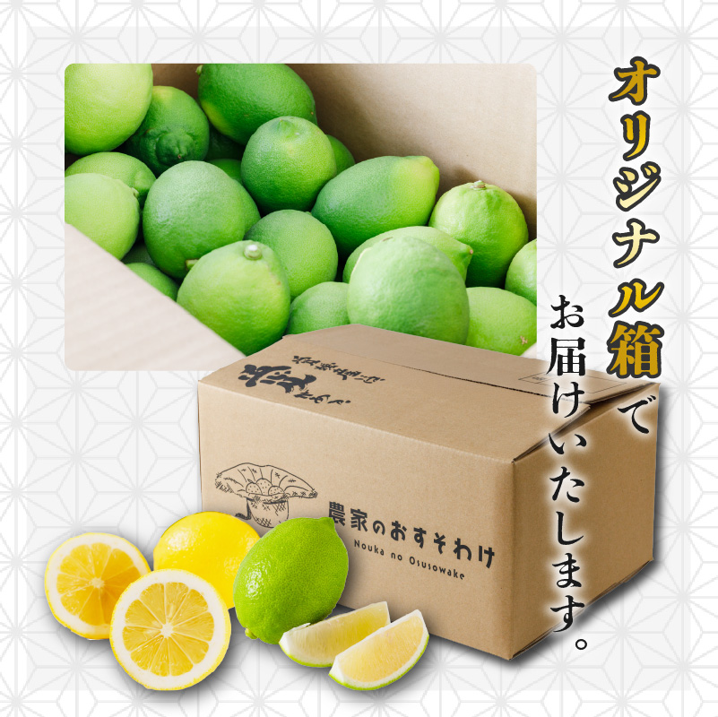 【先行予約】 【イエローレモン】 【 2026年1月上旬から発送】 約5kg 防腐剤 ワックス 不使用｜ 訳あり レモン 檸檬 完熟 柑橘 酸味 国産 愛媛県産 訳あり 新鮮 愛媛 松山