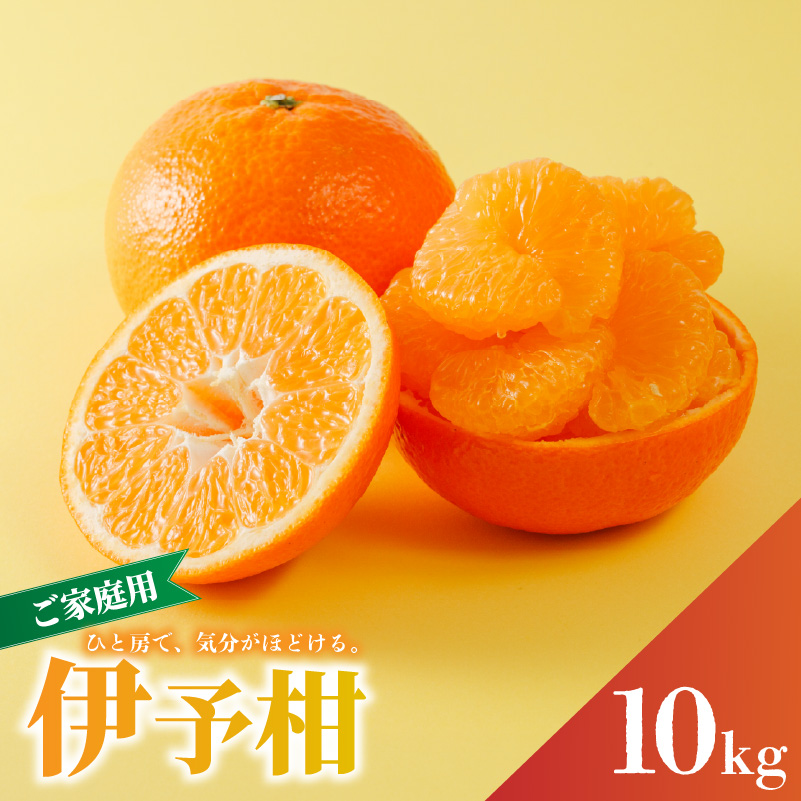 家庭用 宮内伊予柑  10kg サイズ混合 【2027年1月下旬から順次発送】 | 訳あり 柑橘 みかん 果物 くだもの フルーツ おすすめ  人気 お取り寄せ グルメ ギフト 期間限定 数量限定 ご当地 愛媛県 松山市