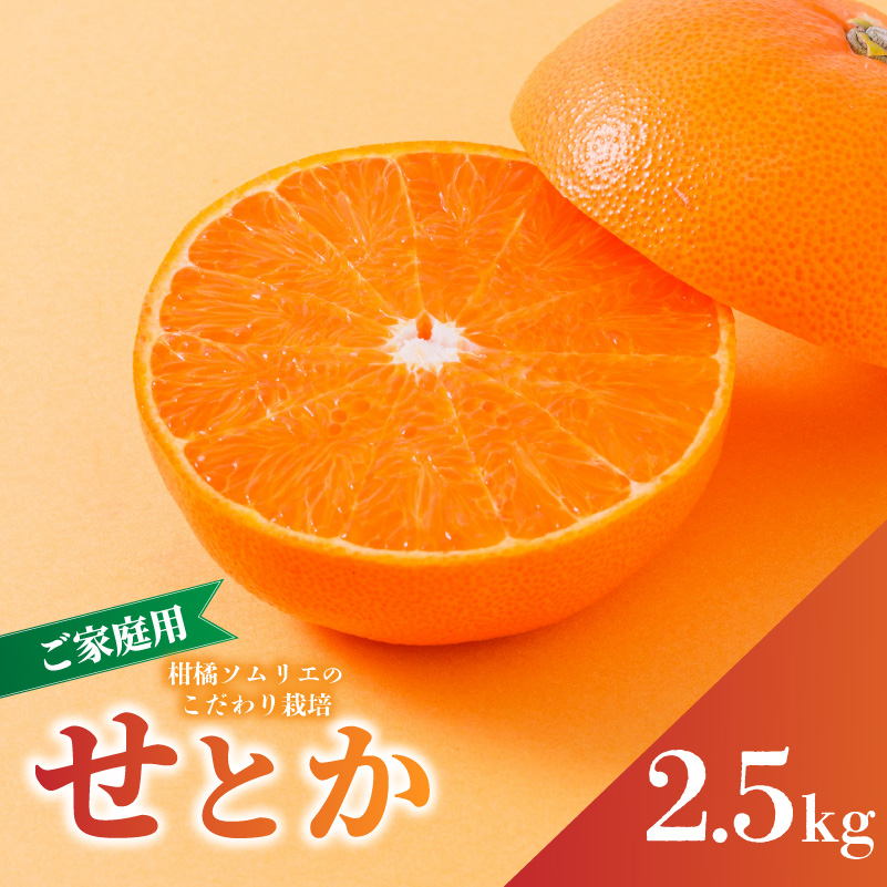 【2027年2月下旬から順次発送】せとか B品 家庭用 2.5kg | セトカ みかん 蜜柑 柑橘 甘い 高級 果物 フルーツ おすすめ 人気 愛媛三大柑橘（ 紅まどんな せとか 甘平 ） 愛媛 松山
