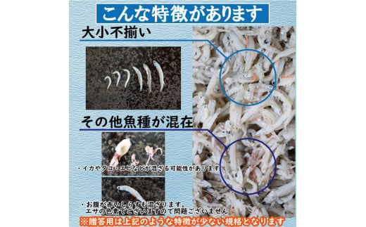 家庭用 釜揚げ しらす 約1.5kg | 家庭用 冷凍 しらす しらす干し ごはんのお供 おつまみ 酒の肴 小分け 便利 簡単調理 おかず 惣菜 しらす丼 グルメ 食品 魚 魚介 海鮮 シラス 愛媛県 松山市 しらす