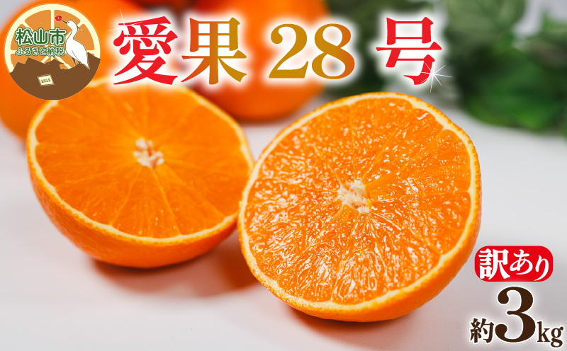 【訳あり】愛果28号 約3kg 【12月上旬~1月中旬頃発送予定】 | あいか 愛果28号 紅まどんな と同品種 訳あり ワケアリ みかん 柑橘 アイカ 先行予約 ミカン かんきつ 果物 フルーツ おすすめ 訳アリ 蜜柑 送料無料 愛媛県 松山市