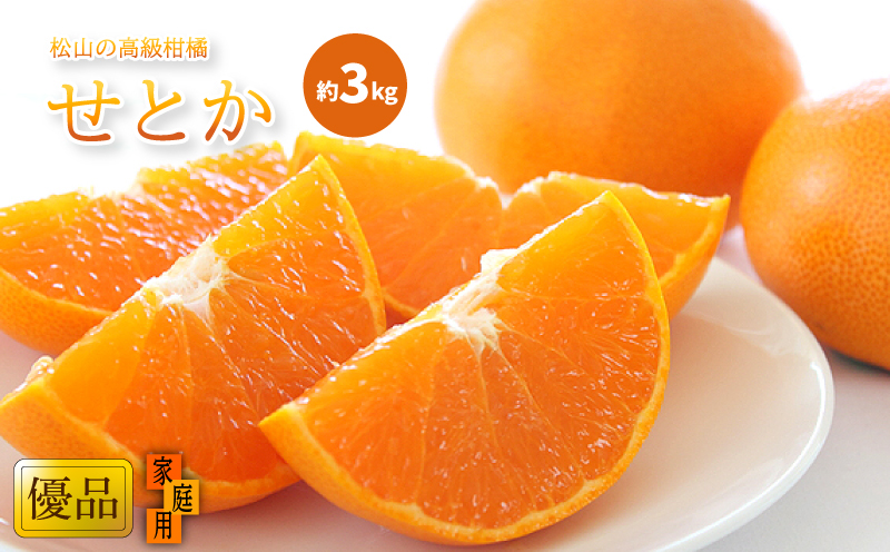 【2027年2月中旬頃から順次発送】  せとか 家庭用(優品) 約3kg | みかん せとか 柑橘 みかん 化粧箱入りみかん 贈答みかん おすすめ 秀品みかん せとか 松山市産せとか 柑橘みかん 愛媛県産みかん おすすめのせとか 贈答用せとか 贈答用みかん Ｋｏｋｏ’ｏのみかん 柑橘 みかん せとか ミカン セトカ おすすめみかん 松山市産みかん 秀品みかん 人気のみかん