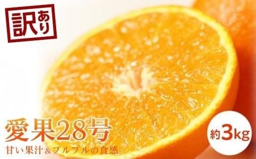 訳あり 愛果28号 (紅まどんな と同品種) 約3kg 【2026年11月中旬頃から順次発送】 |  愛媛産 愛媛県産 国産 愛媛みかん 愛媛蜜柑 愛媛ミカン みかん ミカン mikan 蜜柑 柑橘 フルーツ 果物 くだもの お取り寄せ 産地直送 数量限定 人気 おすすめ 愛媛県 松山市 送料無料
