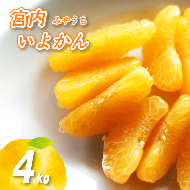 【2026年1月上旬から順次発送】 宮内いよかん 4kg | いよかん 伊予柑 みかん 数量限定 みかん 愛媛県産 みかん いよかん 伊予柑 松山市 みかん 中島 みかん いよかん 伊予柑 みかん 蜜柑 いよかん 伊予柑 イヨカン みかん いよかん 伊予柑 愛媛県 松山市