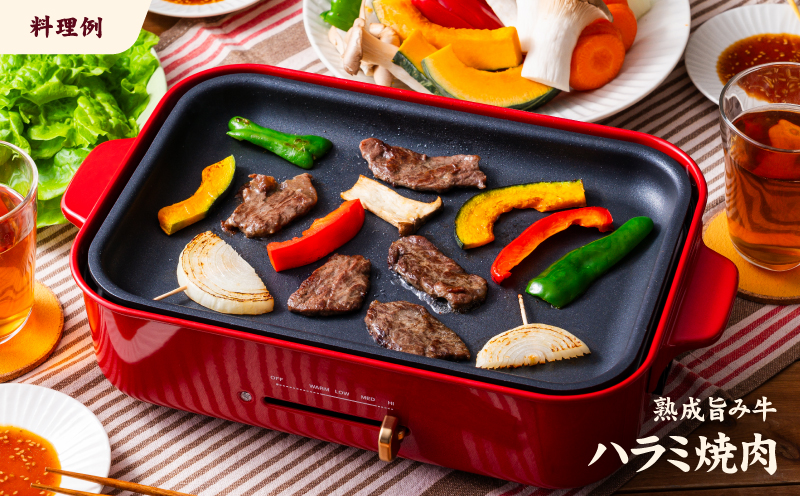 熟成旨み牛やわらかハラミカット 1kg ハラミ はらみ 牛ハラミ 牛はらみ ギュウハラミ ハラミ丼 牛肉 味付けなし 200g 小分け 個包装 冷凍 簡単調理 簡単 肉 焼肉 焼き肉 BBQ バーベキュー 愛媛県 松山市 インジェクション加工