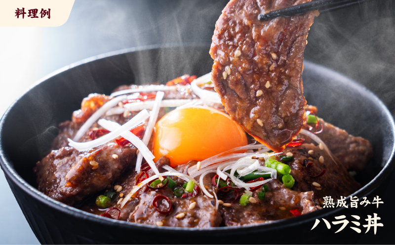 熟成旨み牛やわらかハラミカット 1kg ハラミ はらみ 牛ハラミ 牛はらみ ギュウハラミ ハラミ丼 牛肉 味付けなし 200g 小分け 個包装 冷凍 簡単調理 簡単 肉 焼肉 焼き肉 BBQ バーベキュー 愛媛県 松山市 インジェクション加工