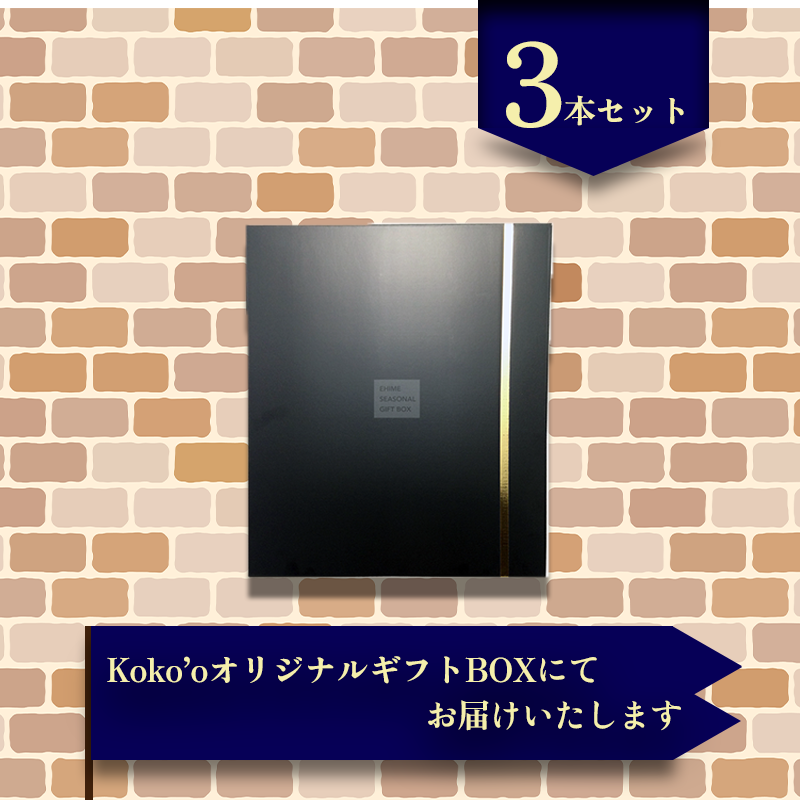 【ギフトおすすめ】 温州みかんジュース 3本セット ギフト お中元 手土産 贈り物 プレゼント おすすめ みかん ジュース 愛媛県 松山市 
