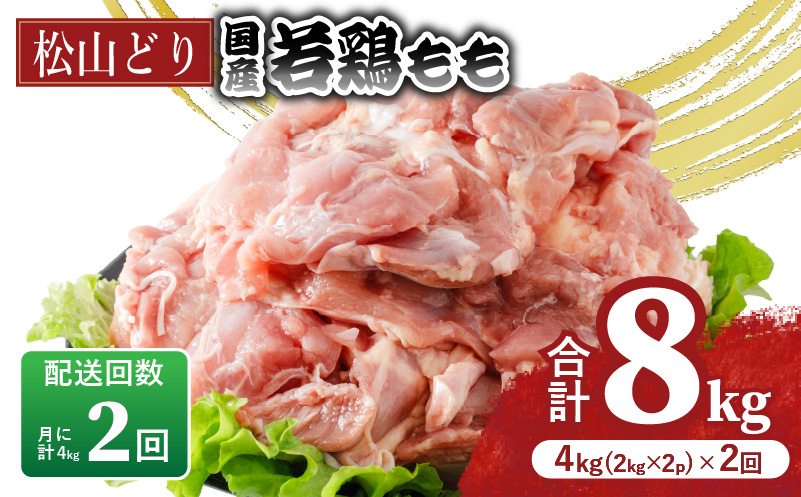 【定期便2回】松山どり もも肉 2kg×2パック×2回 計8kg  | 定期便 国産 鶏肉 小分け 若鶏 冷凍 愛媛県 松山市 株式会社ビージョイ