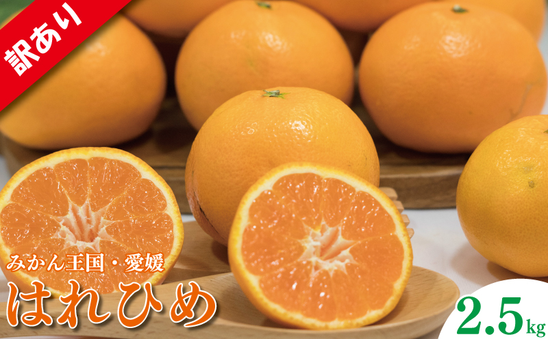 訳あり 家庭用 はれひめ S~3L玉 約2㎏ | わけあり ワケアリ みかん ハレヒメ 柑橘 フルーツ 果物 愛媛県 松山市