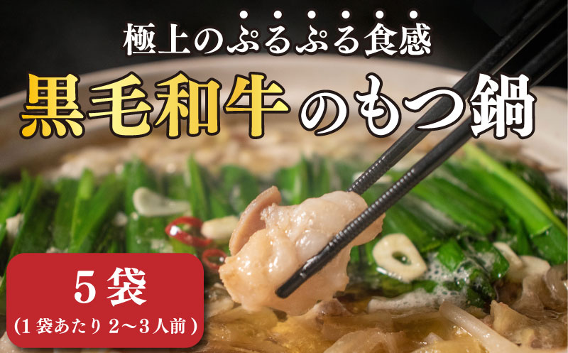 国産 黒毛和牛 もつ鍋セット 5袋 ホルモン 選べる 容量 小分け 冷凍 モツナベ 牛もつ コラーゲン 肉 牛肉 和牛 鍋 セット 冬 惣菜 簡単調理 人気 おすすめ お取り寄せ グルメ 送料無料 愛媛県 松山市