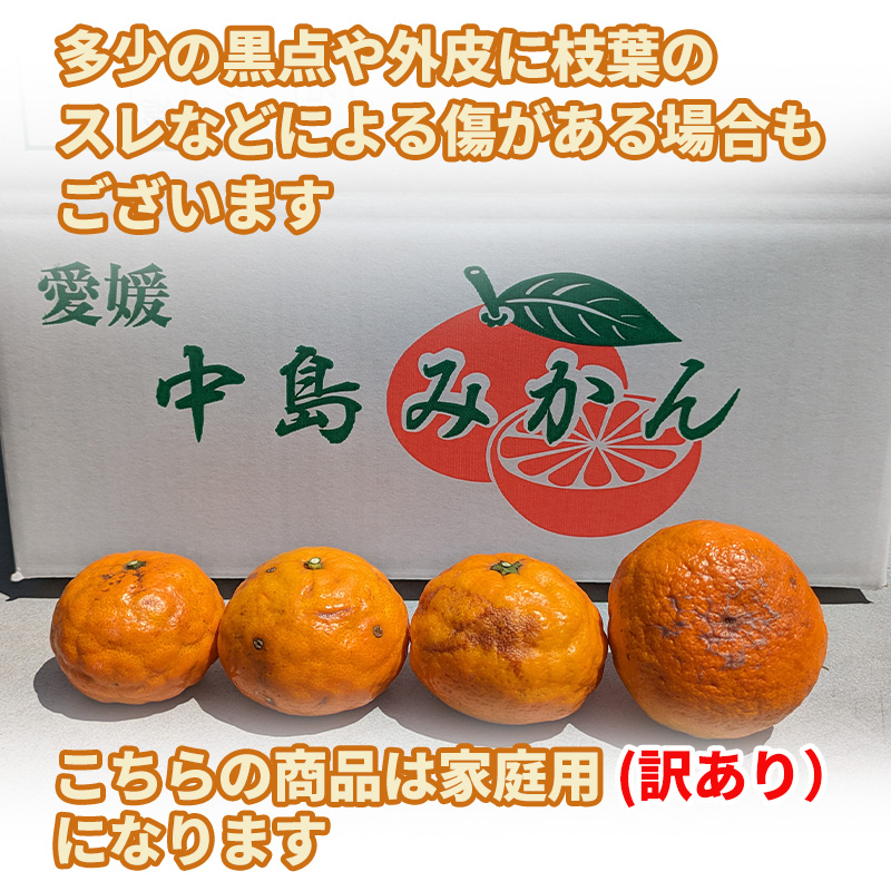 【5月から発送】 春 みかん カラマンダリン 家庭用 2.5kg｜みかん 蜜柑 旬 わけあり 訳あり 甘い 柑橘 果物 フルーツ 糖度 愛媛 松山