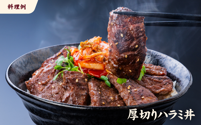 牛ハラミ ブロック 6kg タンブリング加工 牛ハラミ はらみ 牛肉 肉 個包装 冷凍 焼肉 焼き肉 BBQ バーベキュー ステーキ 丼物 簡単調理 炒め物 家庭用 業務用 人気 お取り寄せ 愛媛県 松山市