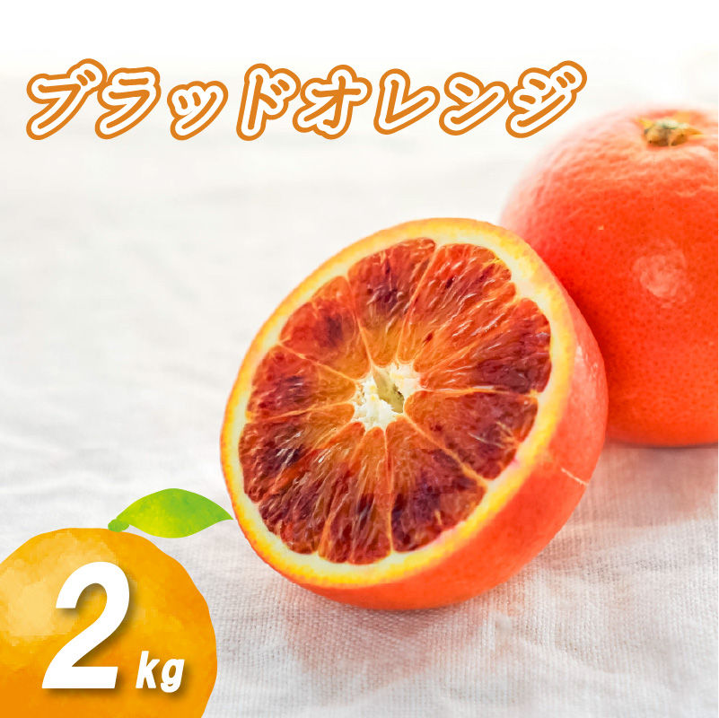 【2026年1月下旬より発送】 ブラッドオレンジ 2kg | 数量選択可 みかん ミカン 蜜柑 柑橘 数量限定 愛媛県産 松山市 中島 低農薬 愛媛 ふるさと納税