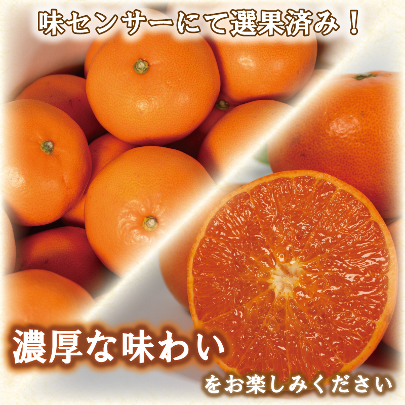 せとか 5kg 優品以上 みかん ミカン mikan 柑橘 フルーツ 果物 愛媛県 松山市