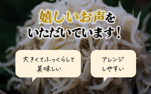 【大人気】 しらす 1kg ( 1kg × 1パック ) 冷凍 約15人前 しらす丼 丼ぶり 魚 さかな ご飯 ごはん 炒飯 チャーハン パスタ スパゲティ サラダ 卵焼き お取り寄せ グルメ 人気 おすすめ 愛媛県 松山市 しらす