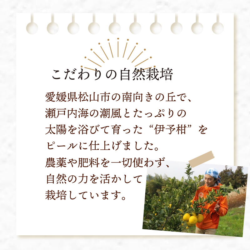 【自然栽培】潮風たっぷり!自然栽培 いよかん 冷凍 ピール 皮 ｜ いよかん お菓子づくり マーマレード お酒 伊予柑 愛媛県産 みかん 自然栽培 柑橘 ミカン ﾐｶﾝ 愛媛県産 家庭用 えひめのみかん GUILD 愛媛県 松山市