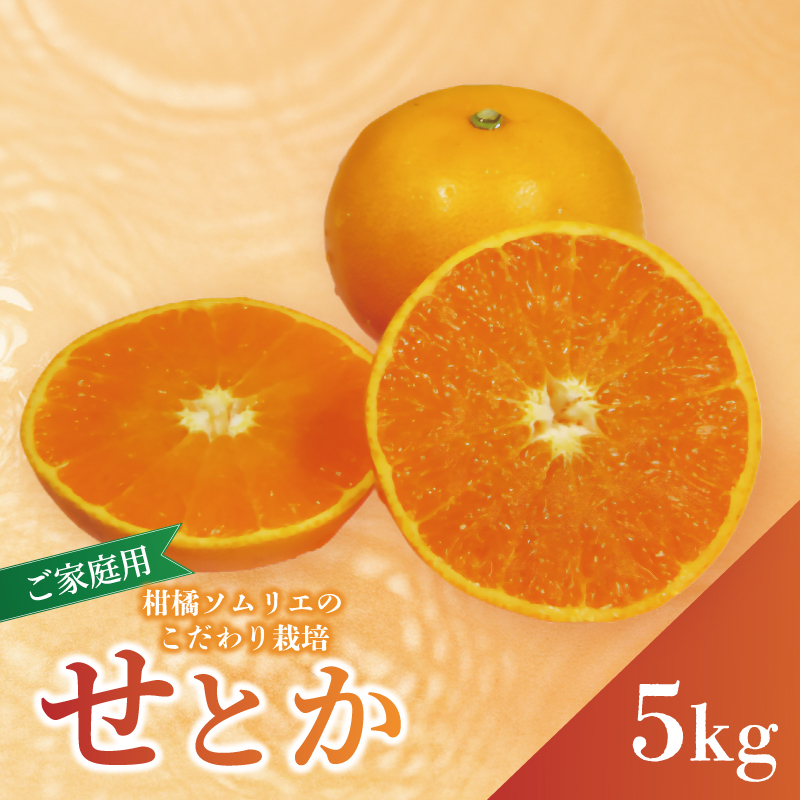 【先行予約】 【2026年2月下旬から発送予定】 せとか B品 家庭用5kg  | 愛媛産 愛媛県産 国産 愛媛みかん 愛媛蜜柑 愛媛ミカン みかん ミカン mikan 蜜柑 柑橘 フルーツ 果物 くだもの お取り寄せ 産地直送 数量限定 人気 おすすめ 愛媛県 松山市 送料無料
