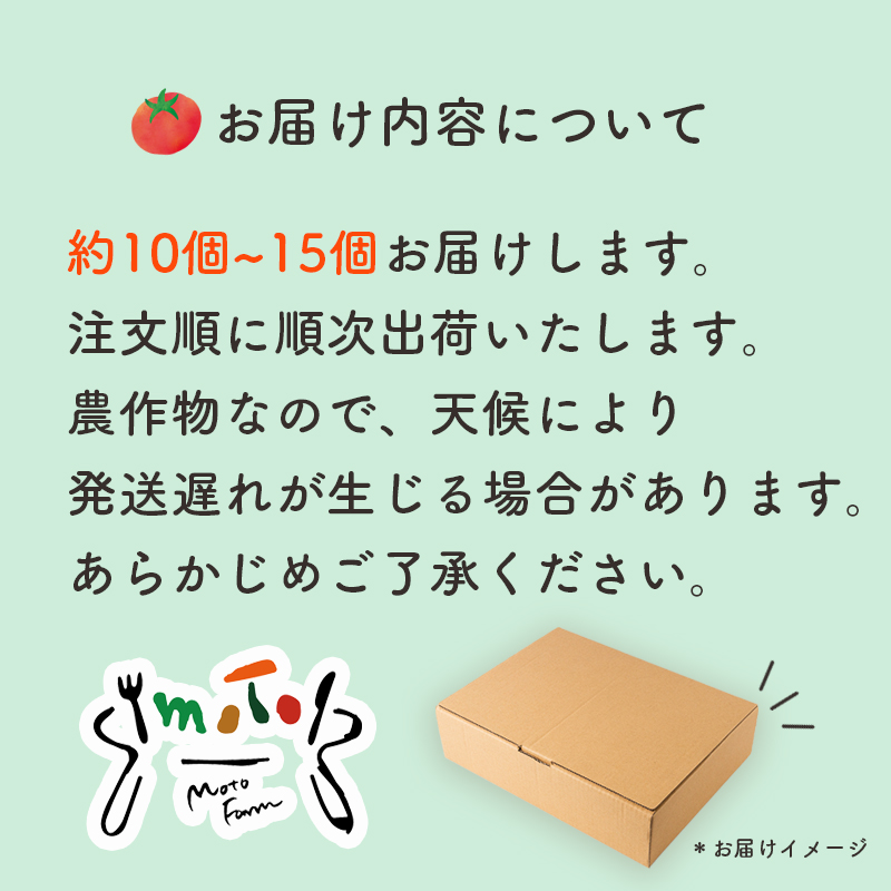 moto farm トマト 2kg  甘みと酸味の絶妙なバランスの麗月トマト 赤採れ  | トマト とまと 野菜 産地直送 数量限定 完熟 赤採れ とまと2kg 愛媛 松山 