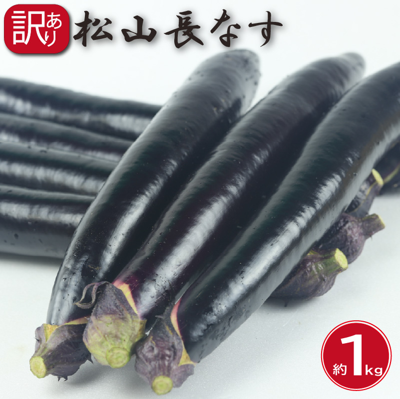 訳あり 松山長なす 約1kg | 夏野菜 茄子 わけあり 不揃い ナス 長なす ワケアリ 長ナス 野菜 国産 国内産 愛媛県 松山市