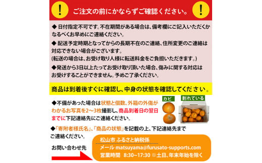 【2024年12月から発送】紅まどんな 約2.7kg 青秀 L ~ 3Lサイズ（ 10 〜15玉 ） 愛媛県産 みかん 柑橘 オレンジ フルーツ 果物 愛果28号 新鮮 愛媛県 松山市 みかん